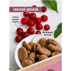 Клюква вяленая в темном шоколаде / 60 г / дой-пак / ТМ Сибирский кедр