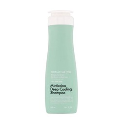 Daeng Gi Meo Ri Охлаждающий шампунь для жирной кожи головы Minticcino Deep Cooling Shampoo