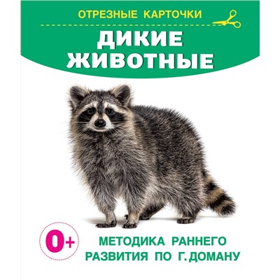 АСТ Дмитриева В.Г. "Дикие животные"