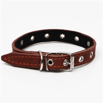 Ошейник кожаный на синтепоне, безразмерный, 45×2 см, ОШ 18-39 см, коричневый