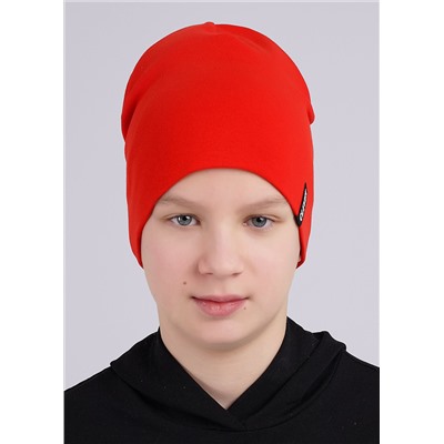 452548 CLEVER Шапка