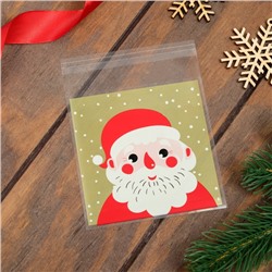 Пакет подарочный новогодний БОПП с липкой лентой, «Портрет», 10×11 см