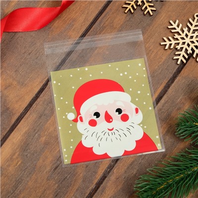 Пакет подарочный новогодний БОПП с липкой лентой, «Портрет», 10×11 см