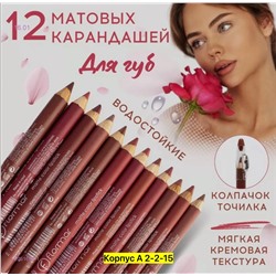 Набор карандашей для губ 2051605-1