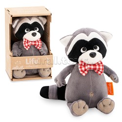 Енотик Дэнни в бабочке 20