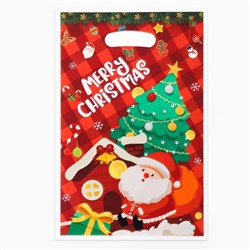 Пакет подарочный новогодний, из жемчужной пленки, «Подарки в дом», 17×25±1 см