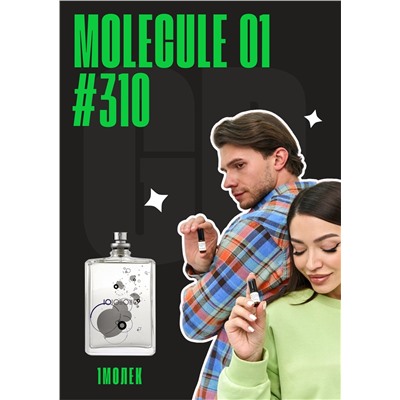 Molecule 01 / GET PARFUM 310