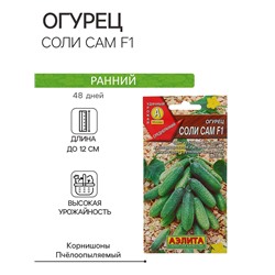 Семена Огурец "Соли сам F1", 10 шт