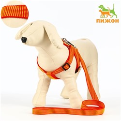 Комплект амуниции рельефный, 2 см, поводок 120 см, красно-жёлтый