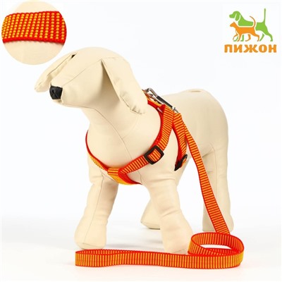 Комплект амуниции рельефный, 2 см, поводок 120 см, красно-жёлтый