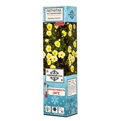 Лапчатка кустарниковая (Северный сад) Примроуз Бъюти 1 шт., туба, Весна 2026