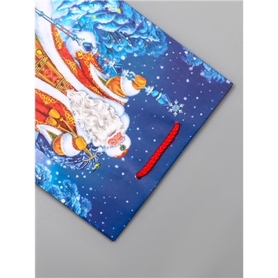 Пакет подарочный новогодний ламинированный, «Новогодний набор », 18×10×22.3 см