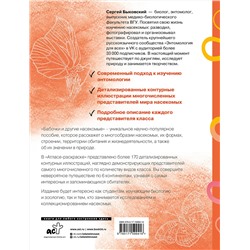 АСТ Сергей Быковский "Бабочки и другие насекомые. Атлас-раскраска"