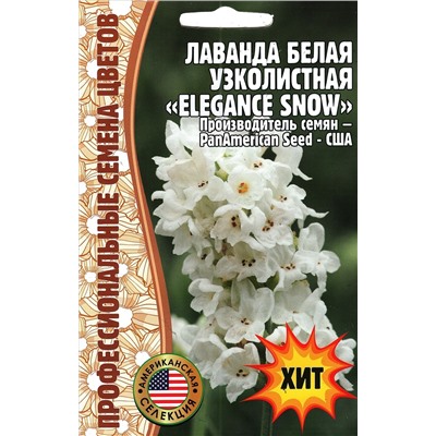 Лаванда белая Элеганс сноу - ELEGANCE SNOW (Редкие)