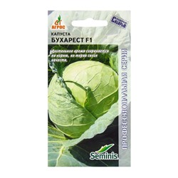 Семена Капуста белокочанная, «Бухарест», F1, 15 шт., Seminis, «Агрос»