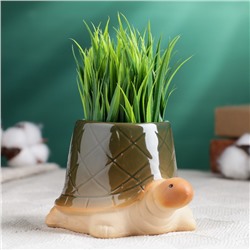 Декоративный горшок для цветов «Черепашка», 250 мл, 12×8×7 см, керамический