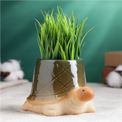 Декоративный горшок для цветов «Черепашка», 250 мл, 12×8×7 см, керамический