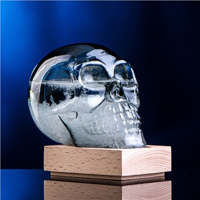 Барометр - штормгласс TAKE IT EASY «Череп», 10×9 см