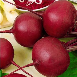 5168D Свекла столовая Бордо 237 1гр