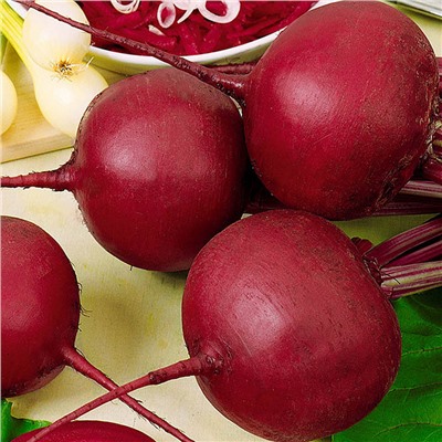 5168D Свекла столовая Бордо 237 1гр