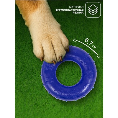 Жевательная игрушка для собак «Кольцо», 6.7×2 см, прозрачная, PP, синяя