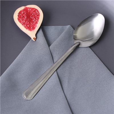 Набор столовых ложек из нержавеющей стали «Ванесса», длина 19 см, 12 шт.