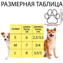 Носки нескользящие «Мальчик», размер M (3/4×7 см), набор 4 шт.