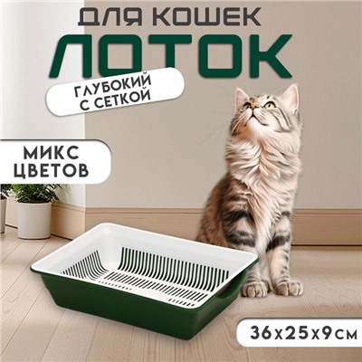 Туалет для кошек, 36×25×9 см, глубокий, с сеткой, пластик, цвет МИКС