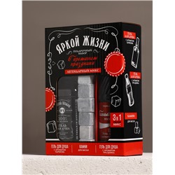 Подарочный набор «Яркой жизни», гель для душа виски и кола, 2×250 мл, камни для виски, Чистое счастье