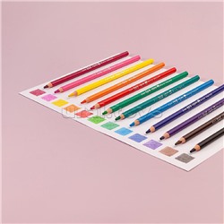 Карандаши цветные пластиковые 4,0 мм  "Kawaii animals", 12 цветов, 4 вида