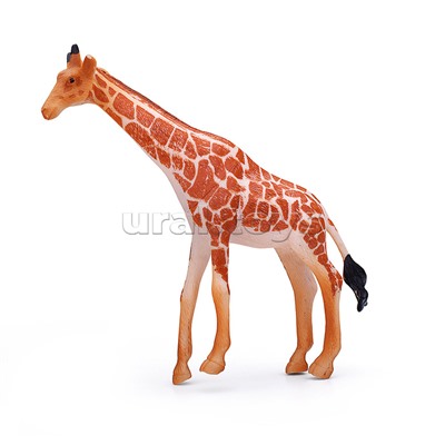 Набор "Дикие животные" в пакете