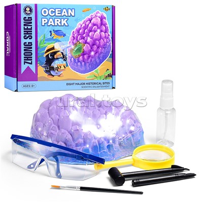 Раскопки "Минеральный детектив" в коробке