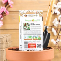 Семена цветов Колеус, серия Русский размер, 4 шт