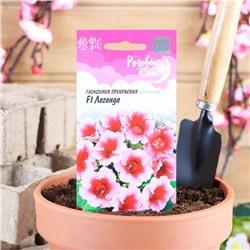 Семена цветов Глоксиния "Легенда", ц/п, F1, 4 шт.