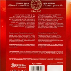 Подарочный набор новогодний женский «Пряное наслаждение»: гель для душа и пена для ванны, 2×250 мл, URAL LAB