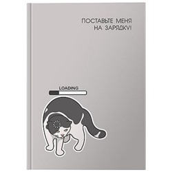 Ежедневник недатированный А6 160 стр. "НА ЗАРЯДКУ" DNBL-A6KNZ LITE