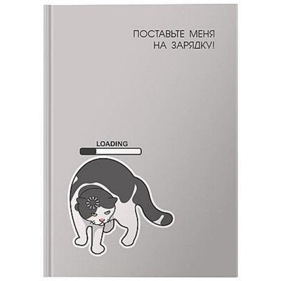 Ежедневник недатированный А6 160 стр. "НА ЗАРЯДКУ" DNBL-A6KNZ LITE