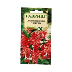 Семена цветов Сальвия Плейона* карликовая  4 шт.