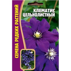 Клематис Цельнолистный (Редкие)
