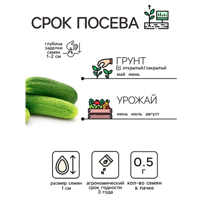 Семена Огурец "Хрустик", 0,5 г