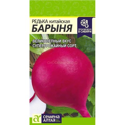 Редька Барыня Зимняя Красная (Алтай)