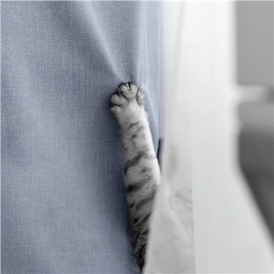 Волшебная Ночь Шторы 921773