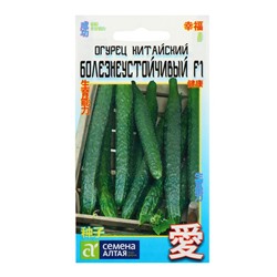 Семена Огурец Китайский болезнеустойчивый, среднеранний, партенокарпический, цп, 6 шт