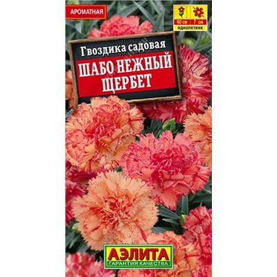 Гвоздика Шабо Нежный щербет (Код: 93145)