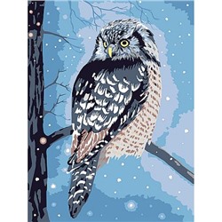 Картина по номерам 30х40 см "Сова в сумерках" живопись с красками и кистью на картоне PKZ/PM-091 ФРЕЯ