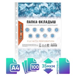 Файл - вкладыш Calligrata, А4, 35 мкм, матовый, вертикальный, 100 штук