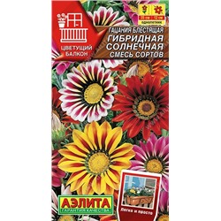 Гацания Гибридная Солнечная