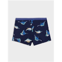 ТРУСЫ ДЛЯ МАЛЬЧИКОВ 413345