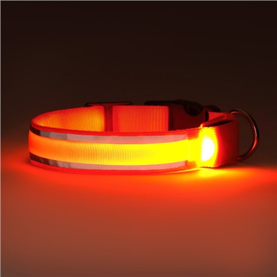 Ошейник с подсветкой Двойная полоса размер XL, ОШ 52-60×2.5 см 3 режима свечения оранж