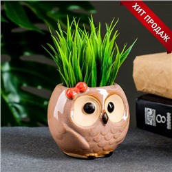 Декоративный горшок для цветов «Совёнок Бом», 180 мл, 7×6×6.5 см, керамический